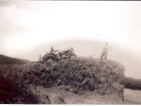NZ Silage. A.Dyson