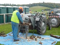 Ferguson Cordwood Saw