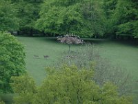 Chiltern2013 (165)