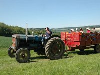 DSC 1349