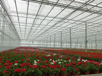 Fergie Club AGM April 2014 085